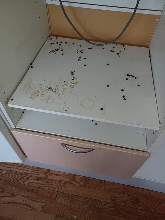 Et skab med en beskidt hylde og en skuffe, der har sorte pletter og snavs på overfladen.