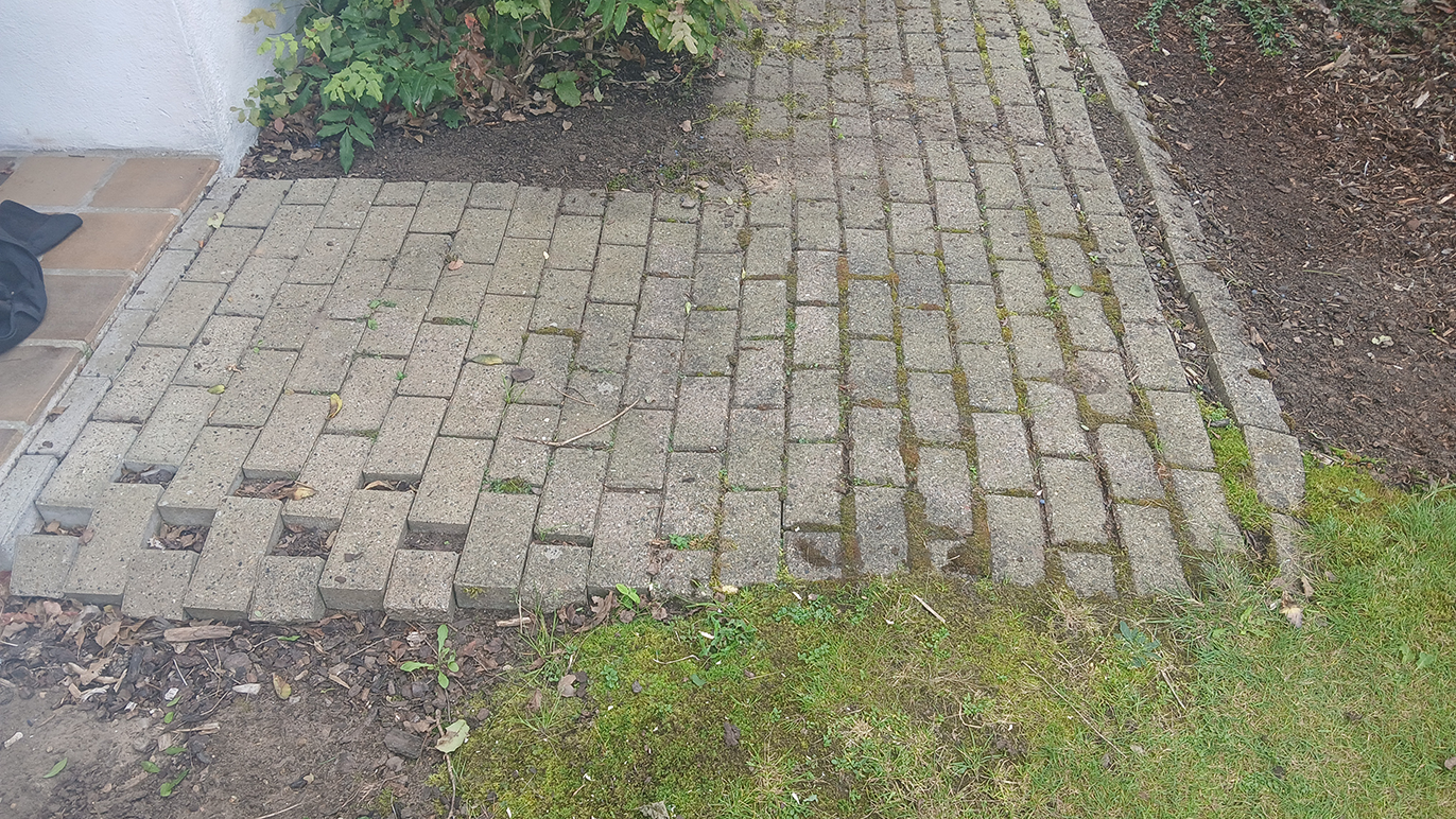 En grusbelagt sti med mursten, delvist dækket af mos og græs, ved siden af en have.