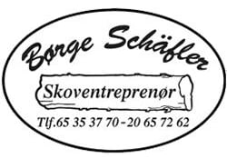 Børge Schäfler