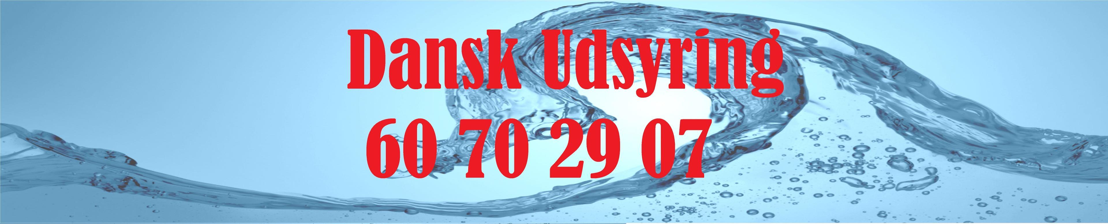 Dansk Udsyring ApS