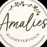 Amalies Blomstervogn