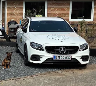 En hvid Mercedes bil parkeret foran et hus med en lille hund siddende ved siden af.