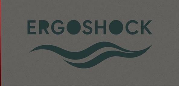 Ergoshock