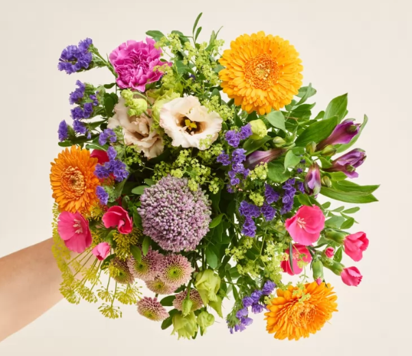 En farverig buket med forskellige blomster som nelliker, gerbera, og lupiner i en hånd.