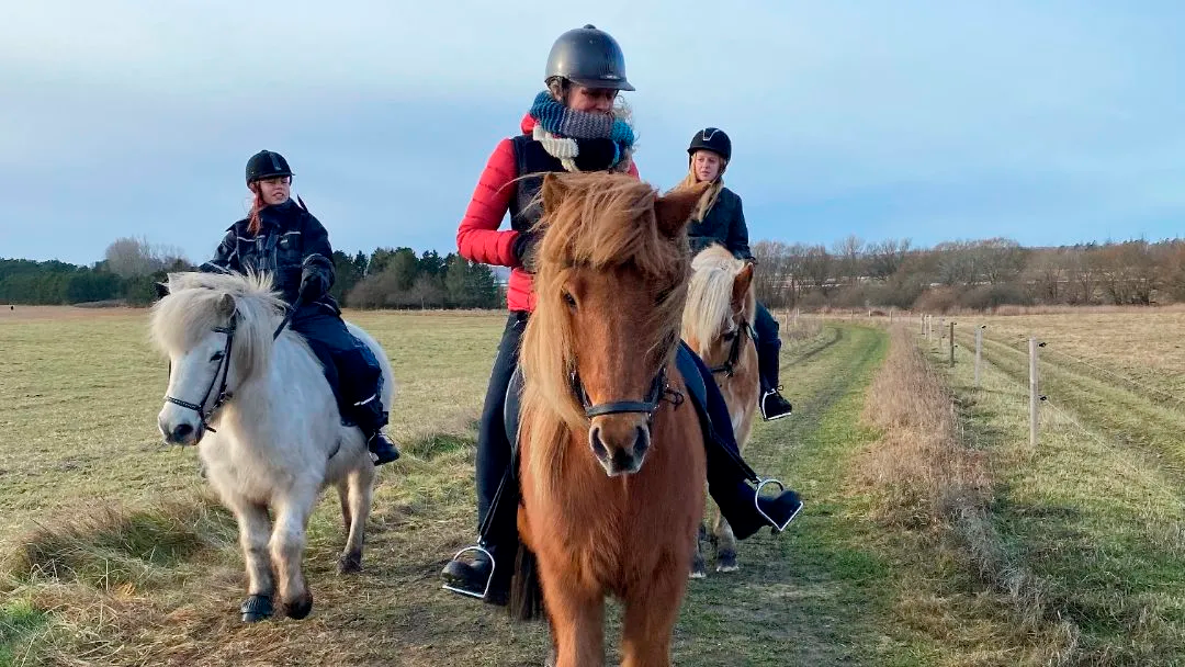 Tre ryttere på islandske heste, der rider langs en markvej i naturen.