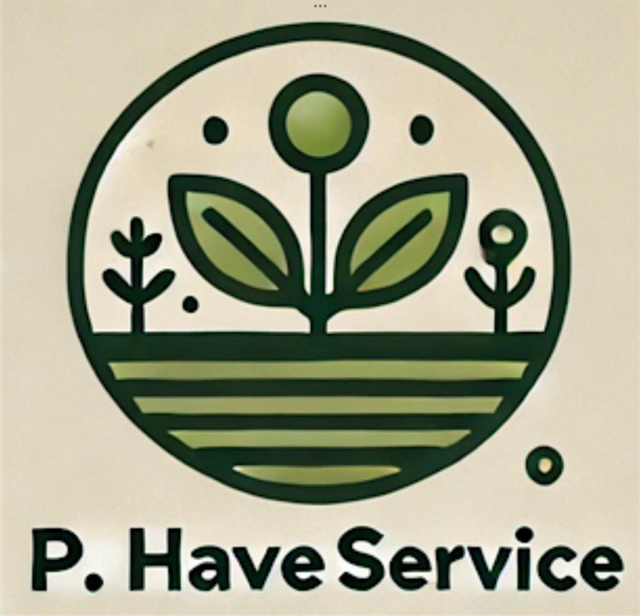 P.Haveservice