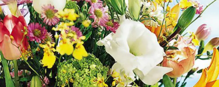 Blomsterværkstedet