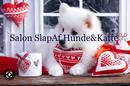 Salon SlapAf Hunde&Katte logo