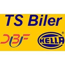 TS Biler logo