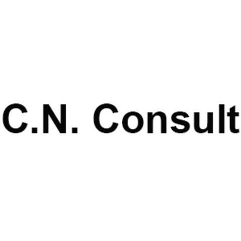C.N. Consult v/Connie Nollin