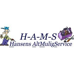 Hams logo