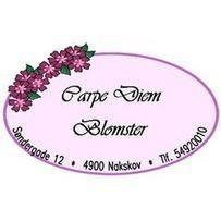 Carpe Diem Blomster logo
